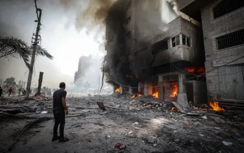 صورة الخبر