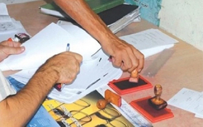 صورة خبر
