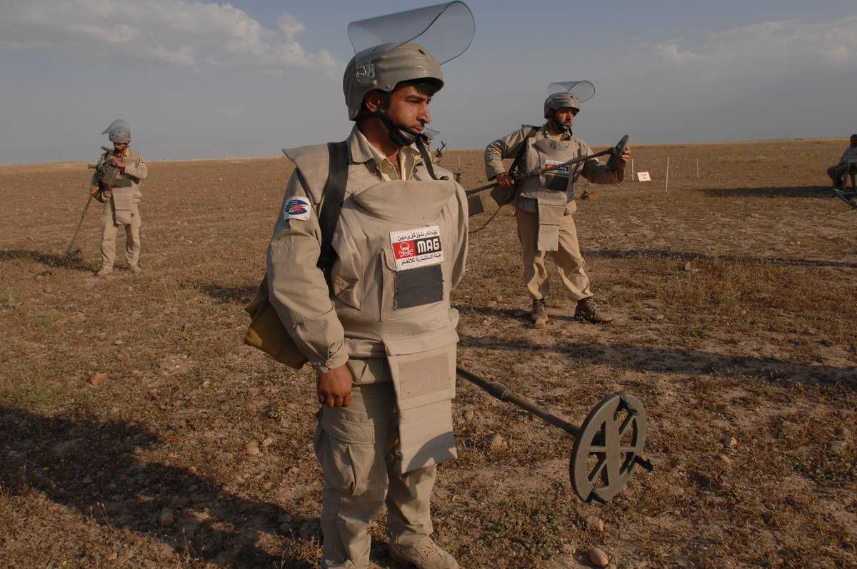 صورة الخبر