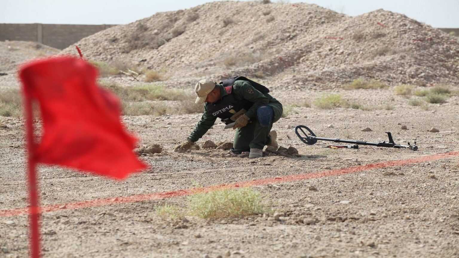 صورة الخبر